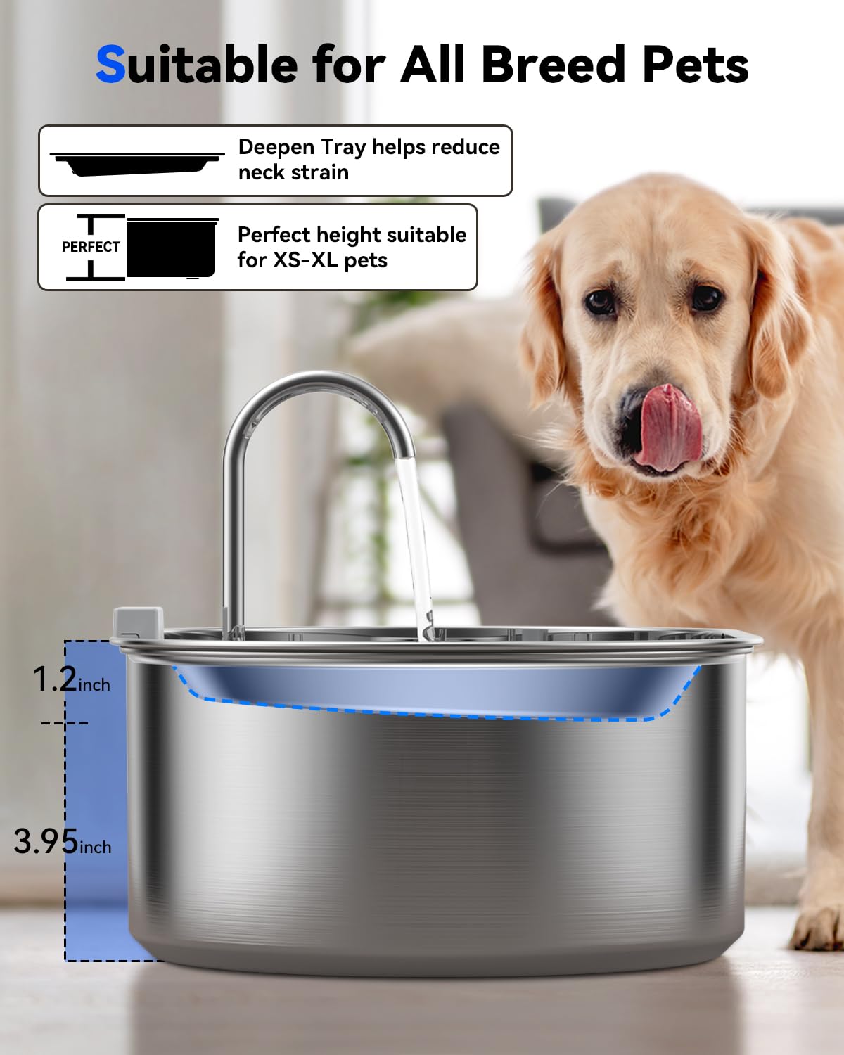 3.4‑Gallon Stainless Steel Dog Water Fountain – 13L Large‑Breed