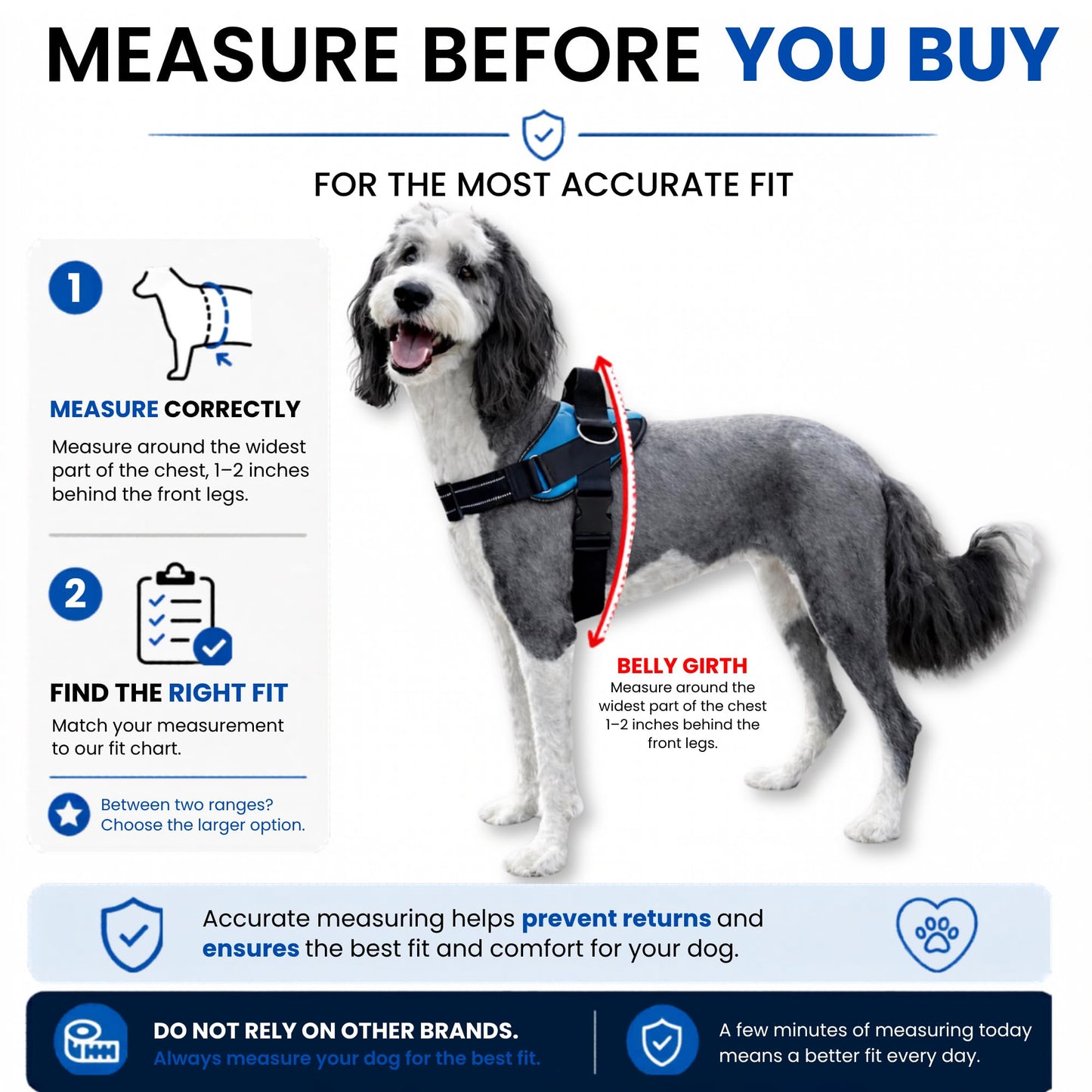 ShawnCo Essential Dog Harness, No-Pull Pet Vest with 3 Leash Clips, No Choke, Reflective, Adjustable and Padded, for Easy Walking and Training for Small, Medium and Large Dogs (Oceanic Blue, S)