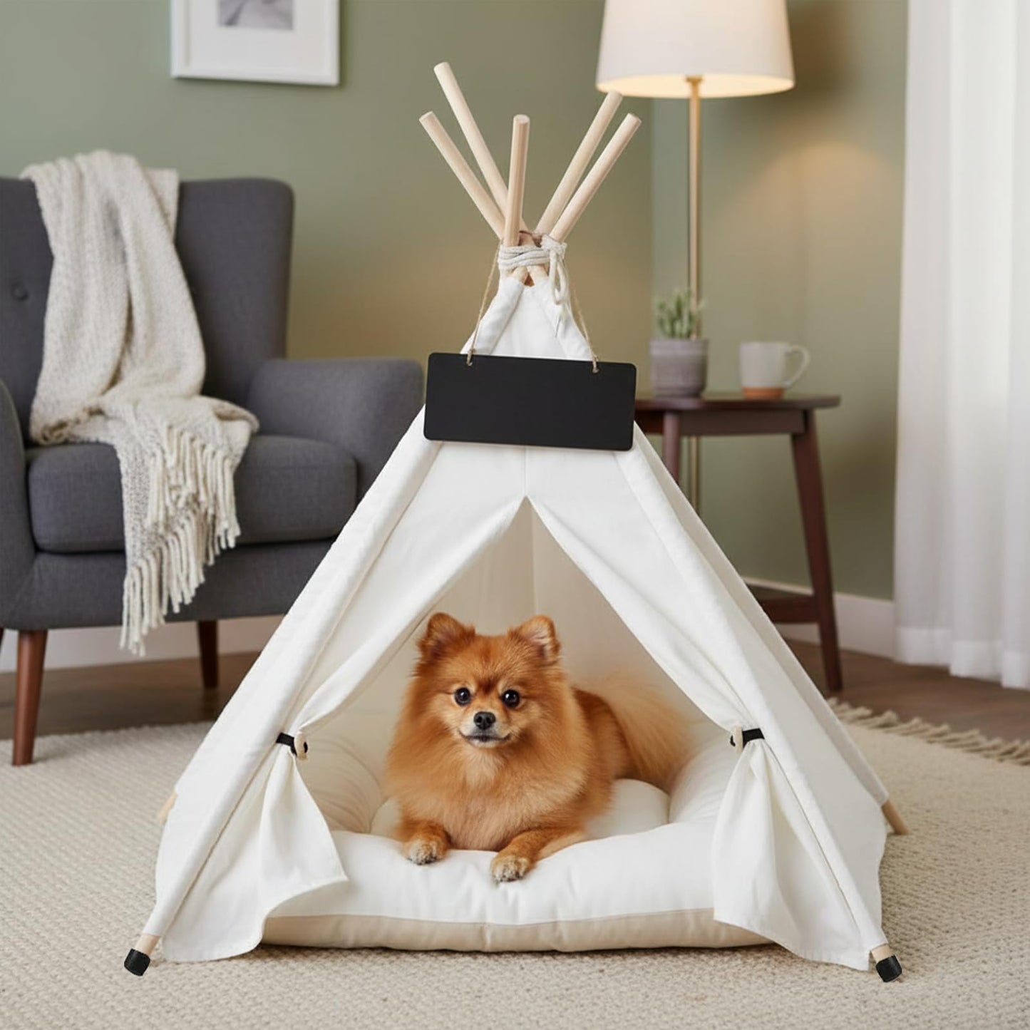 Norvianic Cozy Indoor Pet Cat Teepee Bed—Combines cat Tent, Dog Tent, and Dog House functionality into one Portable pet Tent with Plush pad. (White, S)