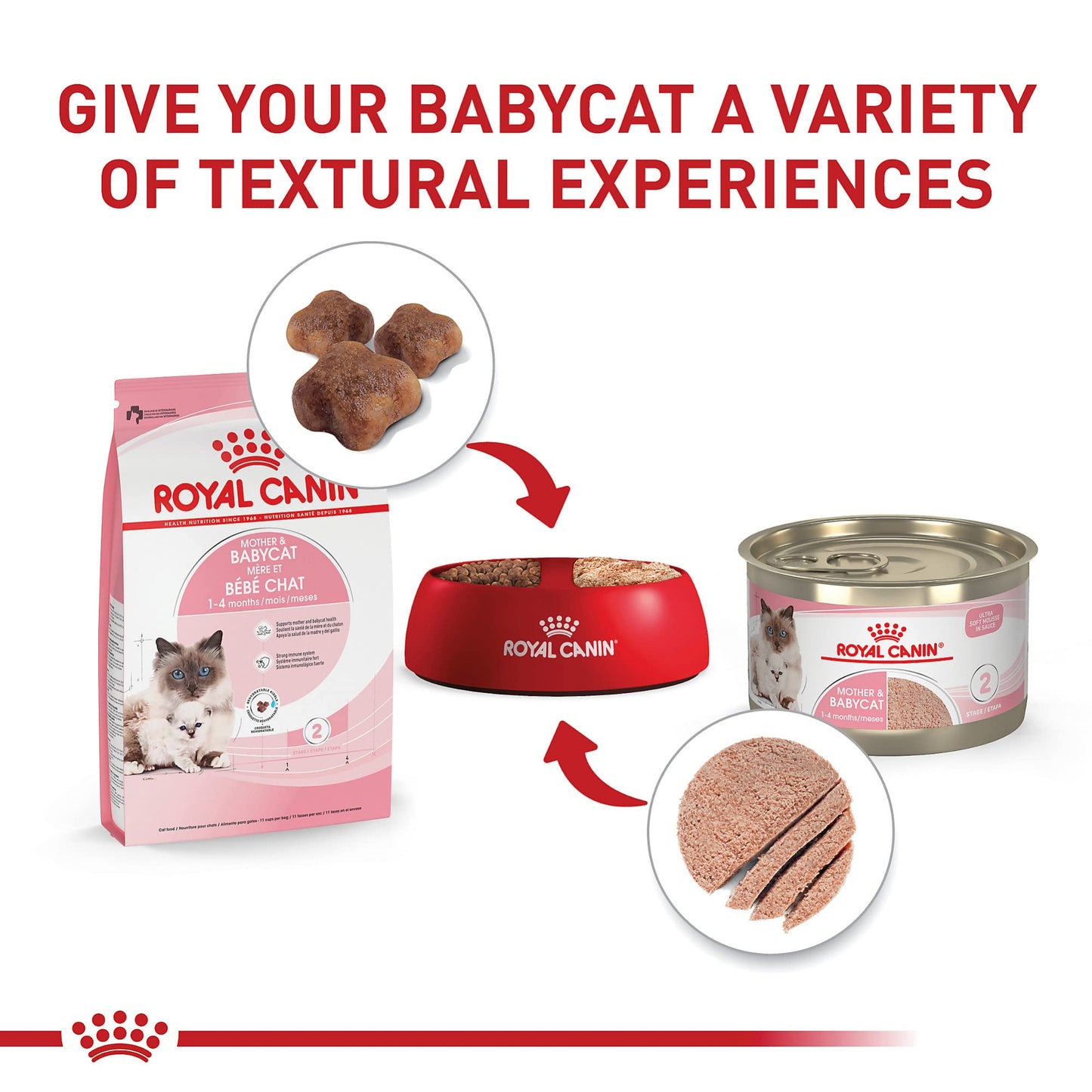 Royal Canin Feline Health Nutrition Mother & Babycat Queen Dry Cat Food, 6 lb Bag