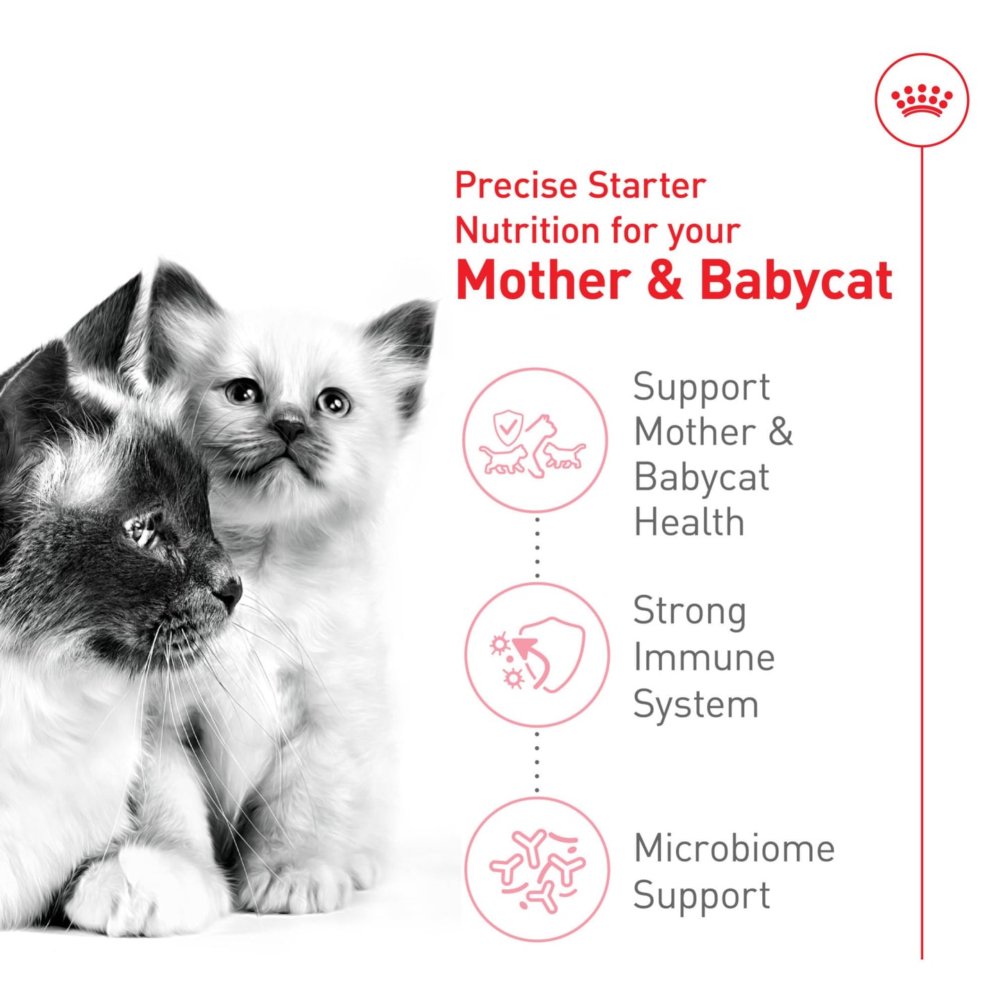 Royal Canin Feline Health Nutrition Mother & Babycat Queen Dry Cat Food, 6 lb Bag