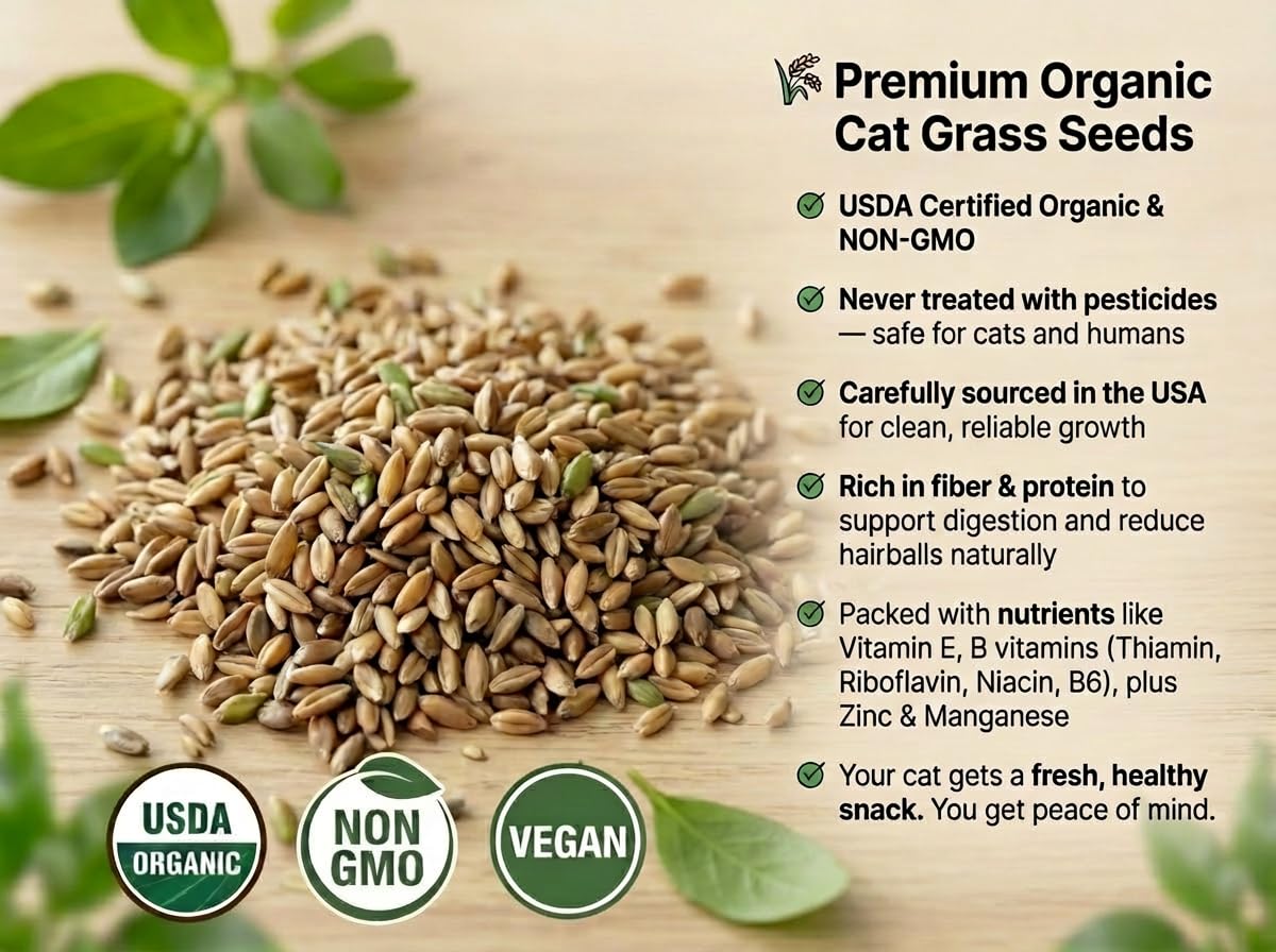 House Tiger Cat Grass Kit for Indoor Cats | Aids Digestion, Hairball Control & Oral Health | Complete Kit Includes Premium Organic seed, Innovative Self-Watering Pot & Eco Friendy Coco Coir Soil Discs