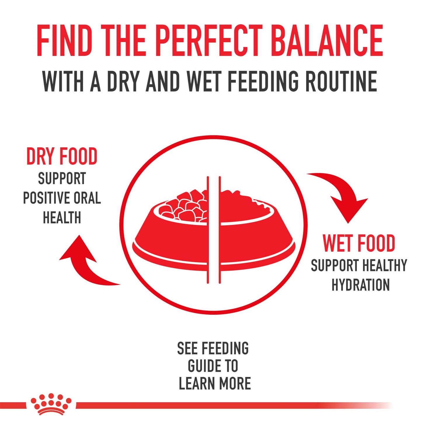 Royal Canin Feline Health Nutrition Sensitive Digestion Adult Dry Cat Food, 15 lb Bag