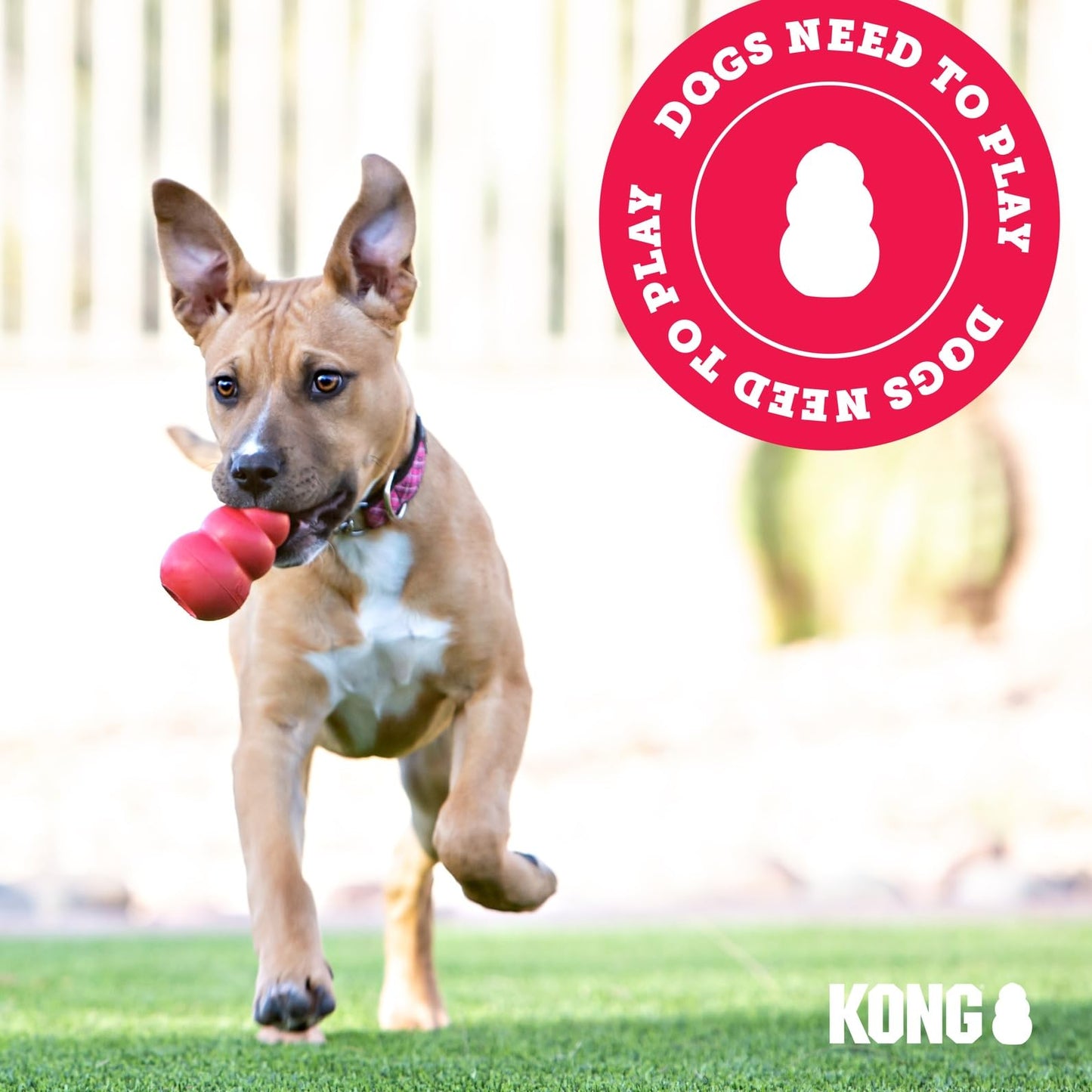 KONG Extreme Tires - KONG's Most Durable Natural Rubber Chew & Fetch Toy - Treat Dispenser Dog Tire Toy - Pet Supplies for Outdoor & Indoor Play - For Medium/Large Dogs