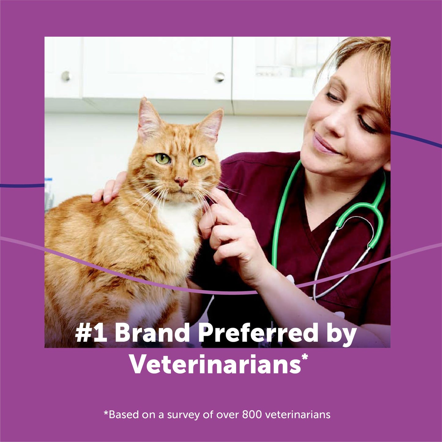 FELIWAY® Classic Cat Calming Spray, 60ml - Comforts Cats at Home and On the Go and Helps to Calm During Travel