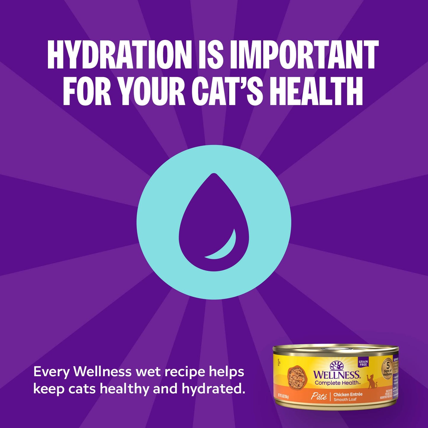 Wellness Complete Health Pate Variety Pack Adult Canned Wet Cat Food, Natural, Protein Rich, Grain Free, Seafood Favorites, 3 oz, Pack of 24 Cans