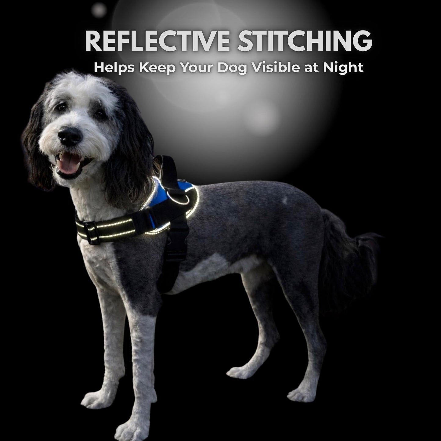 ShawnCo Essential Dog Harness, No-Pull Pet Vest with 3 Leash Clips, No Choke, Reflective, Adjustable and Padded, for Easy Walking and Training for Small, Medium and Large Dogs (Dark Camo, XS)