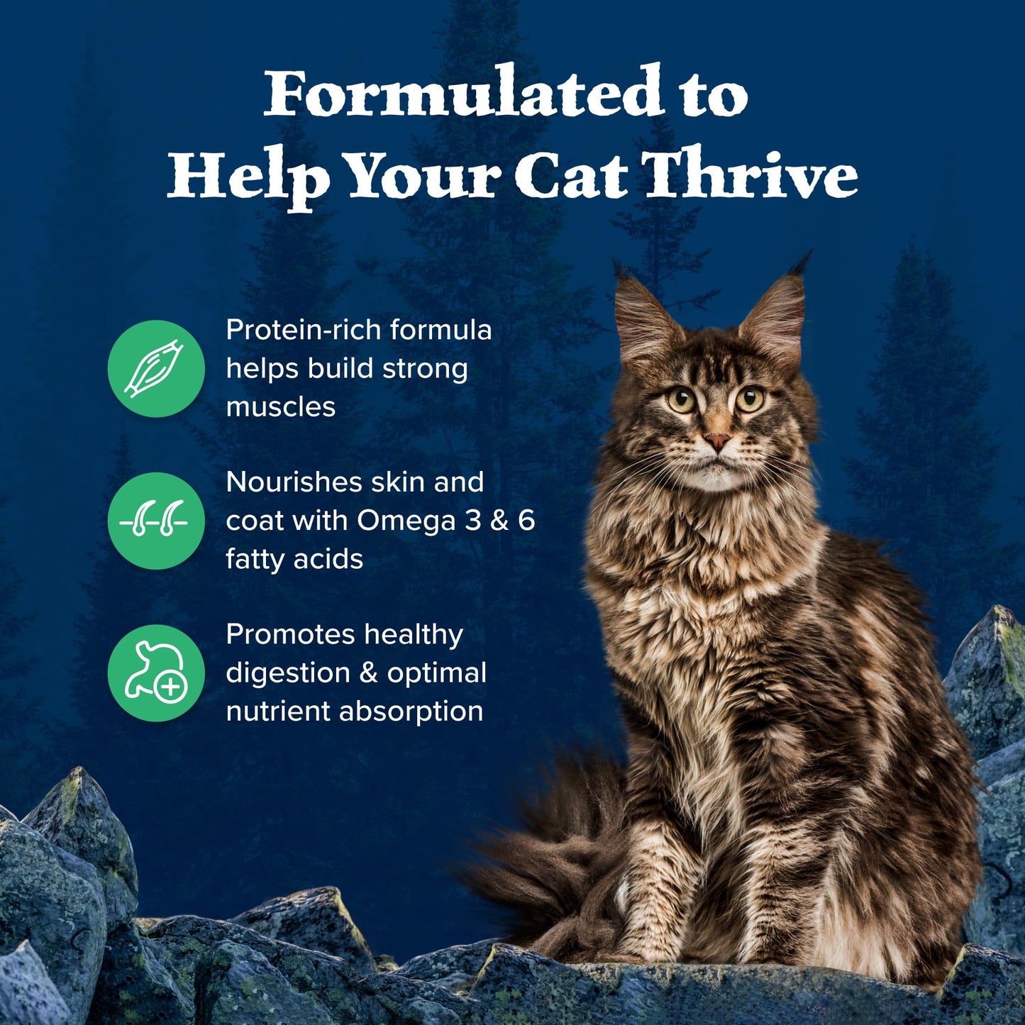 Blue Buffalo Wilderness Grain‑Free Duck Cat Food – 11 lb