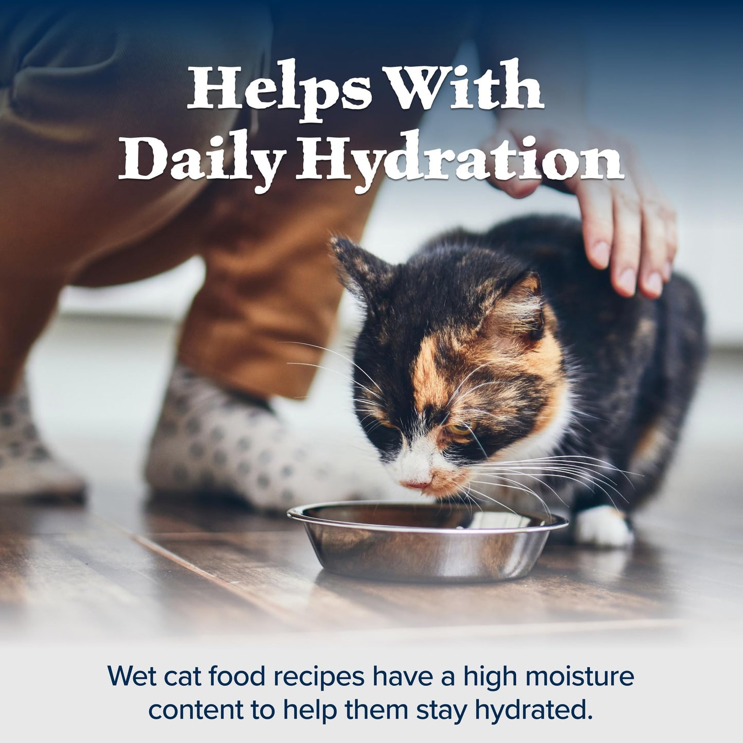 Blue Buffalo Wilderness Duck Paté Wet Cat Food – 24 Pack