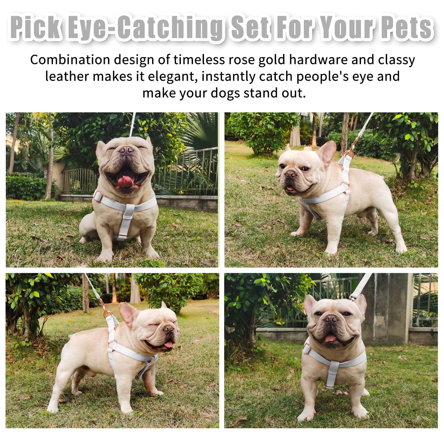 Soft Leather No‑Pull Dog Harness – Adjustable Step‑In Design with Rose Gold Metal Buckle