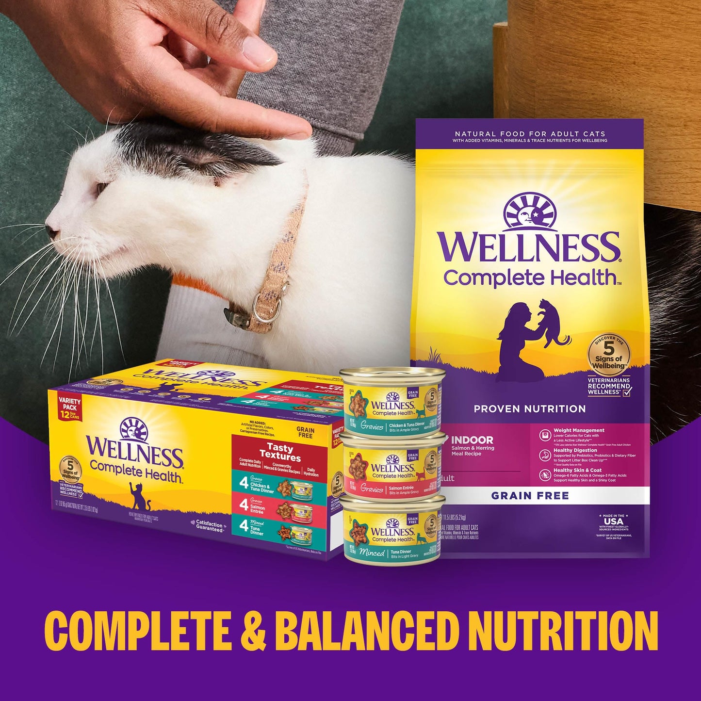 Wellness Complete Health Pate Variety Pack Adult Canned Wet Cat Food, Natural, Protein Rich, Grain Free, Seafood Favorites, 3 oz, Pack of 24 Cans