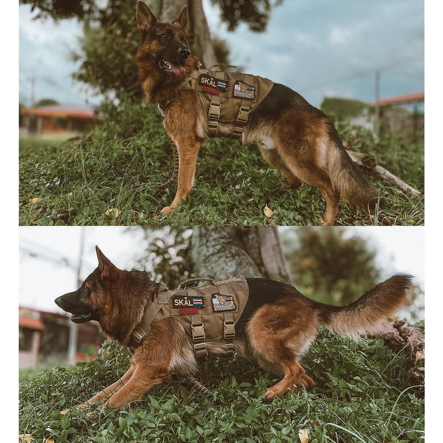 OneTigris No Pull Tactical Dog Harness for Medium Dog, Aire Mesh Dog Vest Harness, Breathable Military Molle Vests with Handles, Service Dog Vest for Walking Hiking Training (M, Brown)