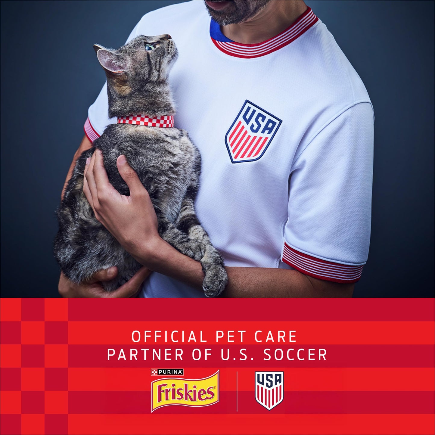 Purina Friskies Wet Cat Food Variety Pack, Shreds With Beef, Turkey and Cheese Dinner, Chicken and Salmon Dinner, and With Ocean Whitefish and Tuna - (Pack of 40) 5.5 oz. Cans