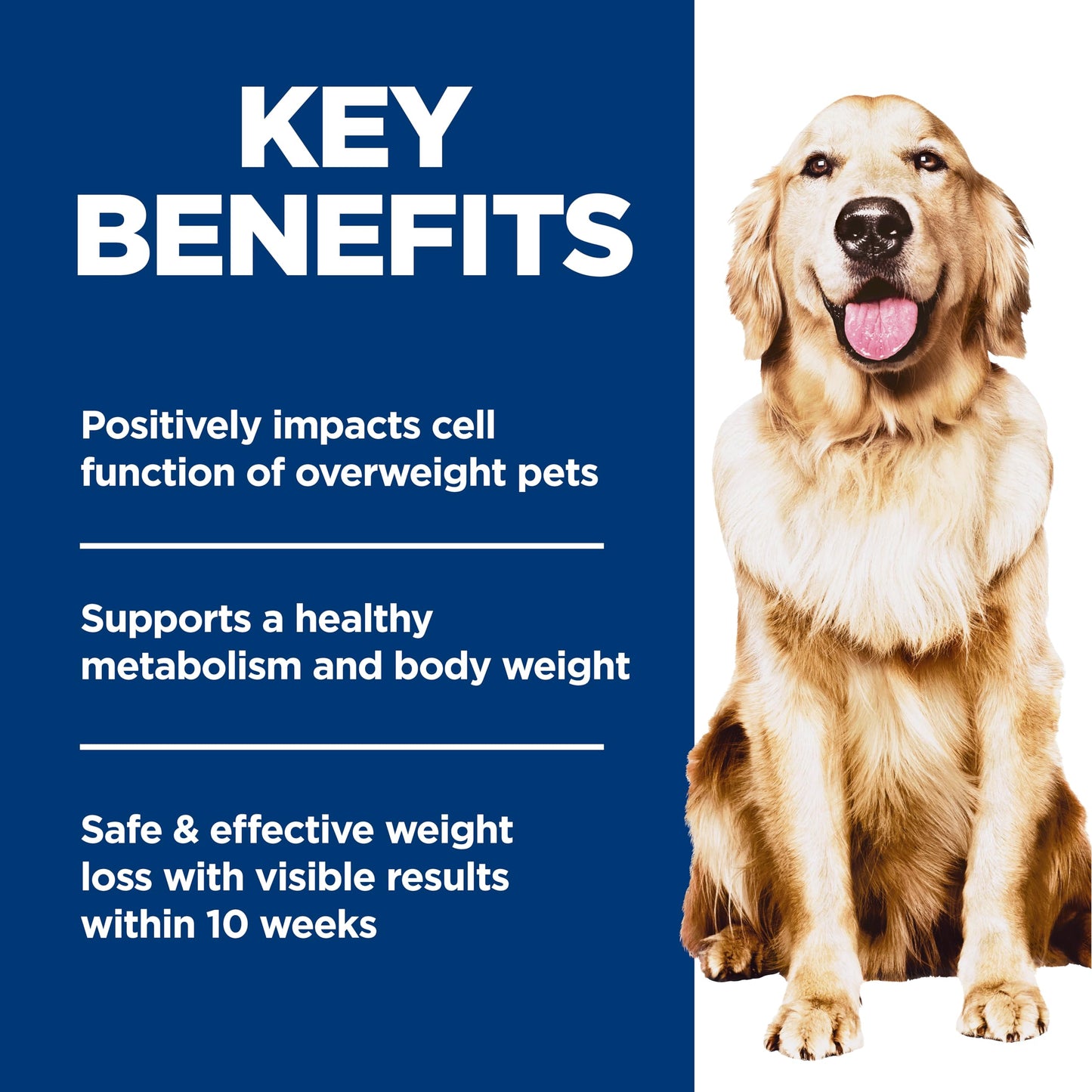 Hill's Science Diet Adult Perfect Weight Dry Dog Food, Chicken & Brown Rice, 4 lb. Bag