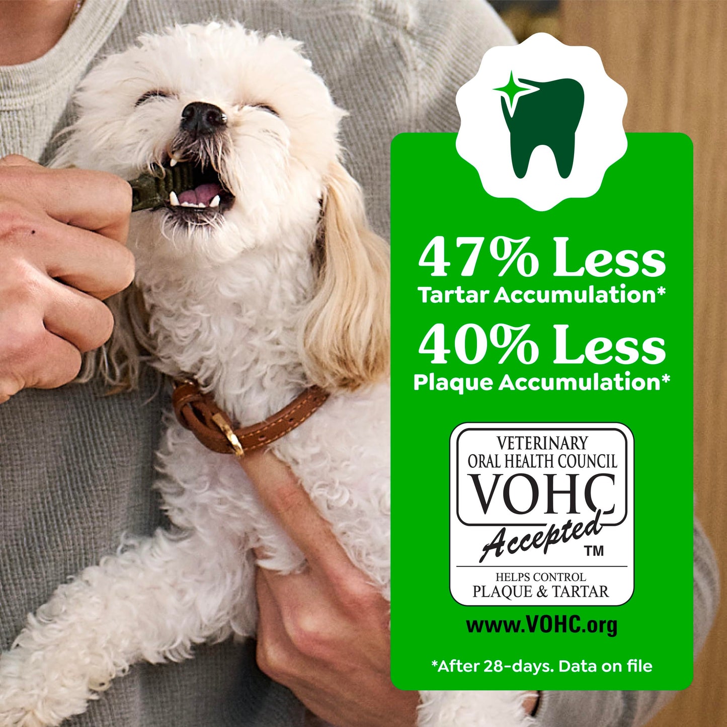 Greenies Veterinarian-Recommended Adult Natural Dental Dog Treats Regular Size, Dog Dental Chews, Original Flavor, 54 oz. Pack, 54 Count