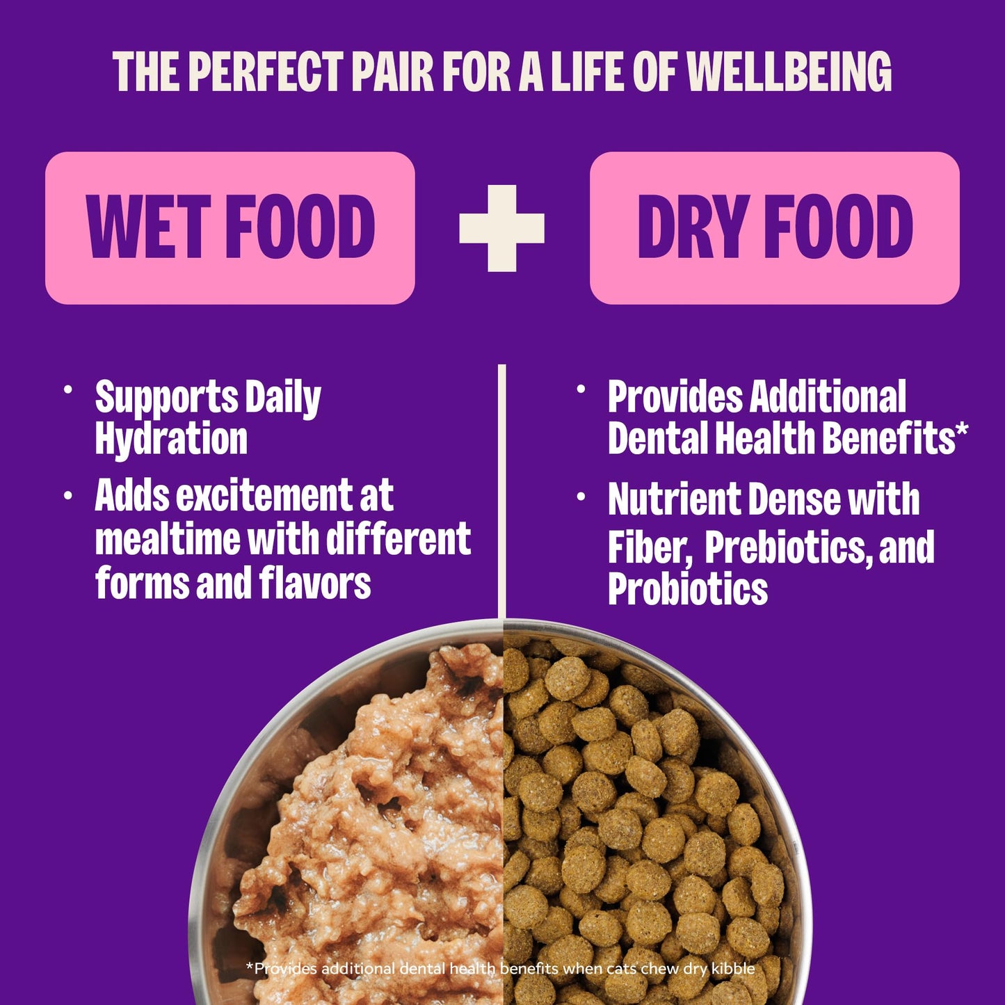 Wellness Complete Health Pate Variety Pack Adult Canned Wet Cat Food, Natural, Protein Rich, Grain Free, Seafood Favorites, 3 oz, Pack of 24 Cans