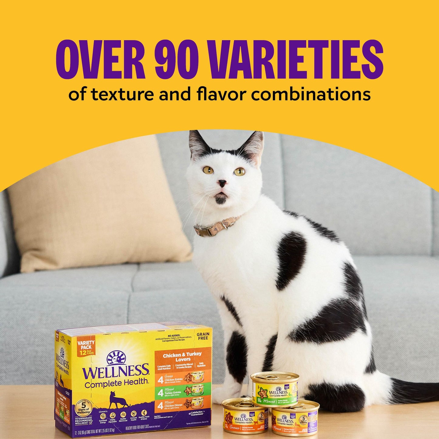 Wellness Complete Health Pate Variety Pack Adult Canned Wet Cat Food, Natural, Protein Rich, Grain Free, Seafood Favorites, 3 oz, Pack of 24 Cans
