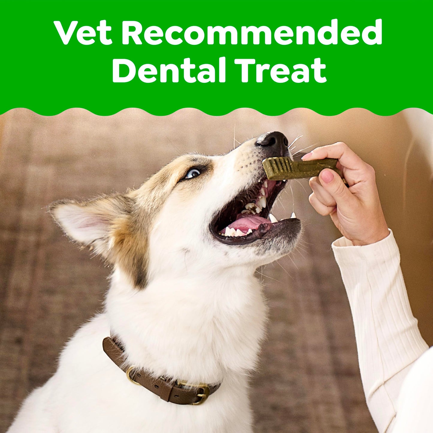 Greenies Veterinarian-Recommended Adult Natural Dental Dog Treats Regular Size, Dog Dental Chews, Original Flavor, 54 oz. Pack, 54 Count