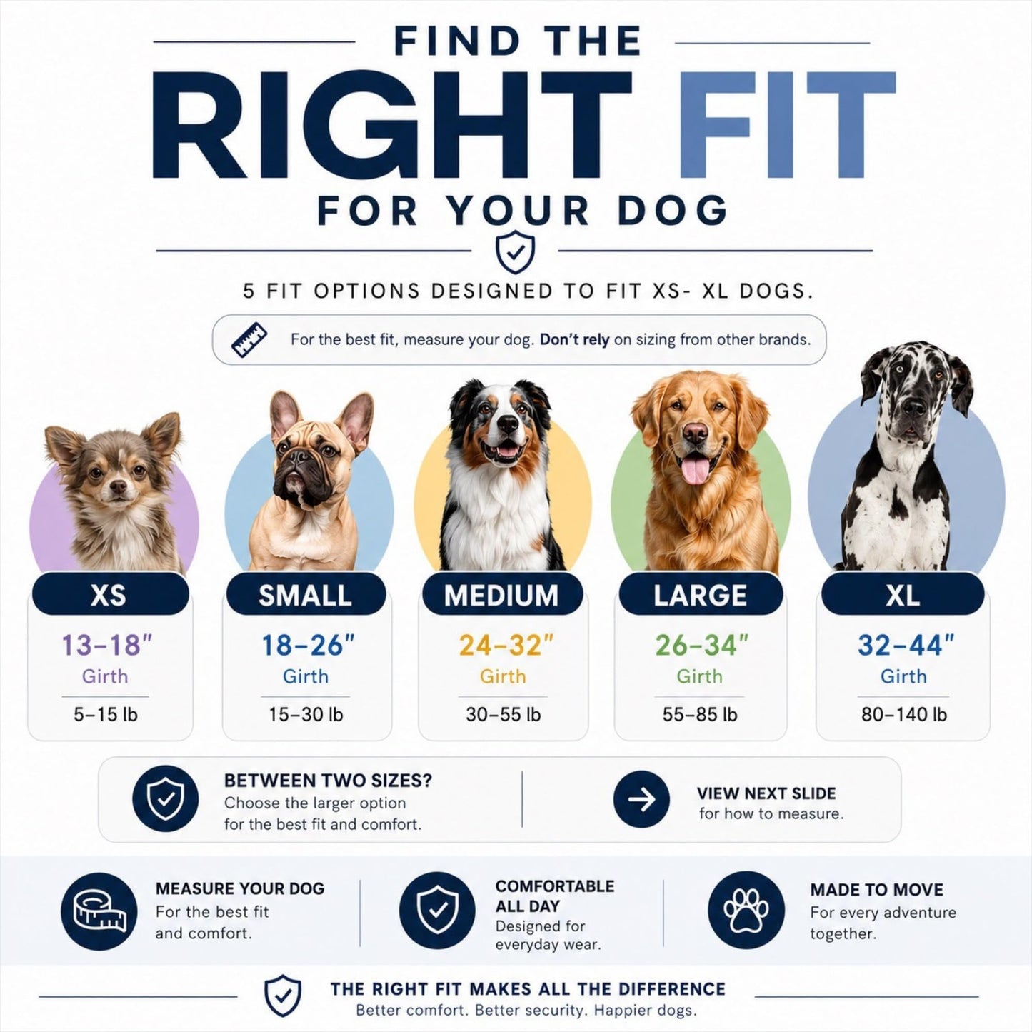 ShawnCo Essential Dog Harness, No-Pull Pet Vest with 3 Leash Clips, No Choke, Reflective, Adjustable and Padded, for Easy Walking and Training for Small, Medium and Large Dogs (Oceanic Blue, S)