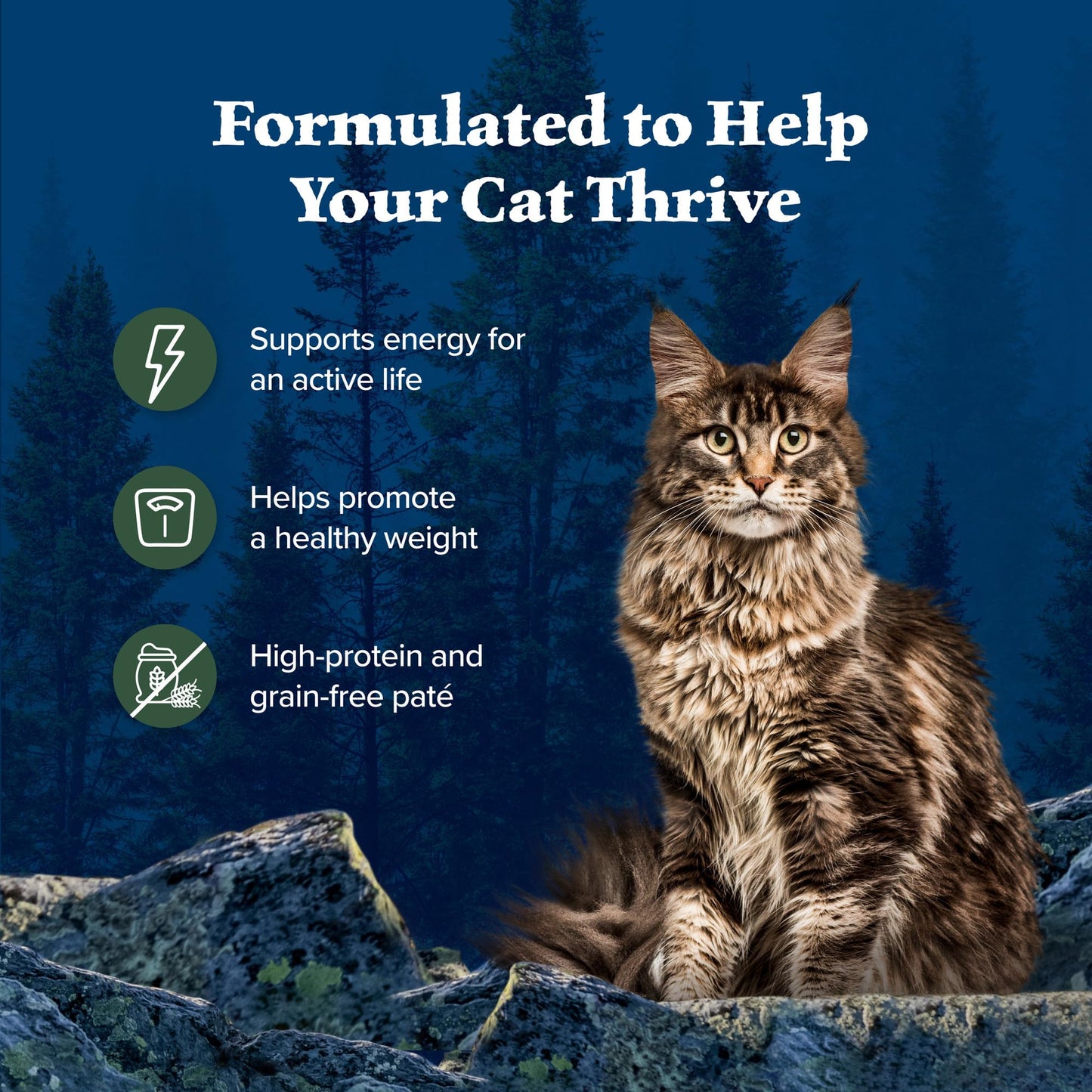 Blue Buffalo Wilderness Duck Paté Wet Cat Food – 24 Pack