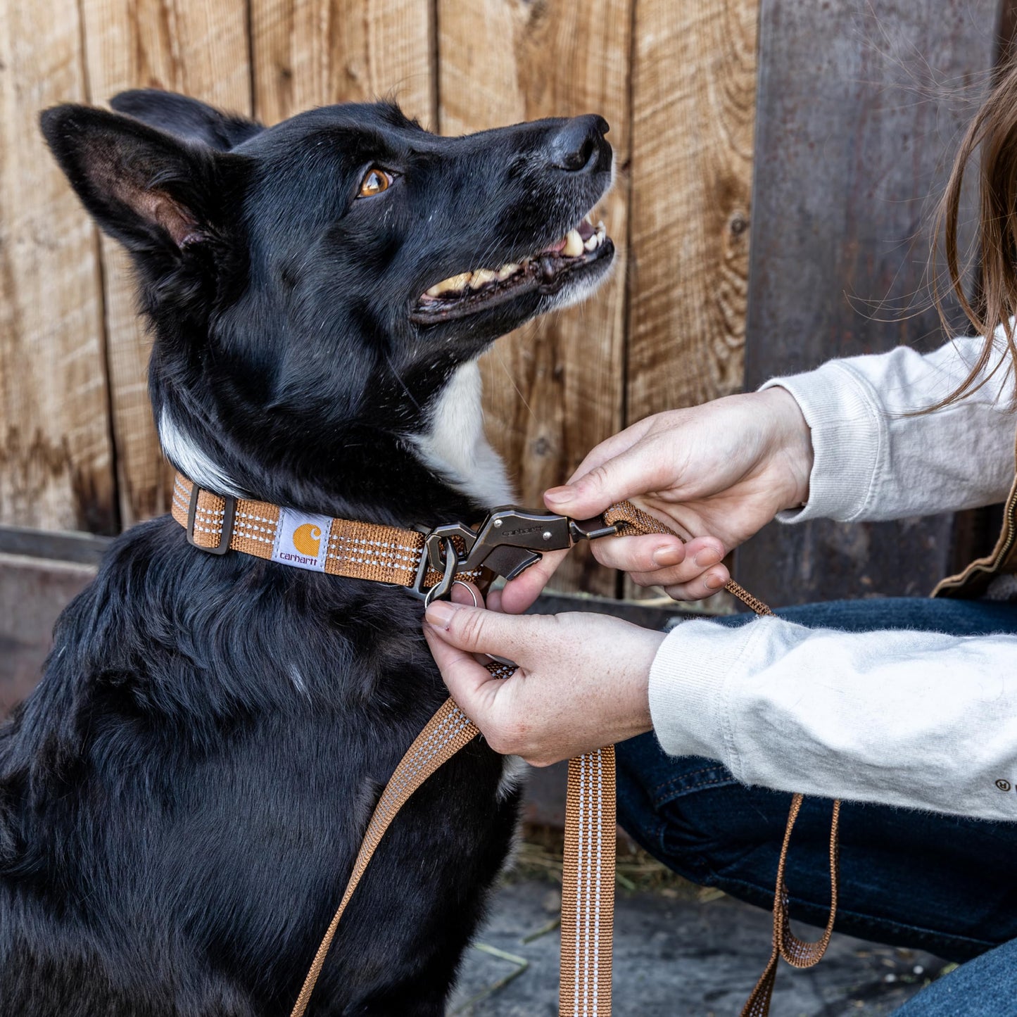 Carhartt Dual Handle Dog Leash, Durable Nylon Webbing Fabric W/Secure Metal Trigger Claw Clasp, Carhartt Brown, Large