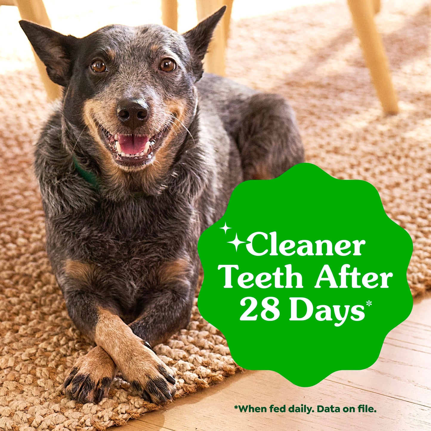 Greenies Veterinarian-Recommended Adult Natural Dental Dog Treats Regular Size, Dog Dental Chews, Original Flavor, 54 oz. Pack, 54 Count