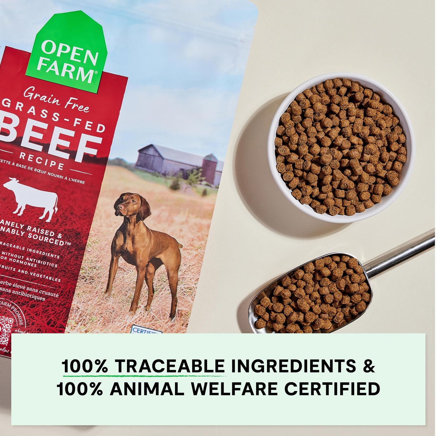 Open Farm, Grain-Free Dry Dog Food, Complete & Balanced Kibble, Sustainably & Ethically Sourced Ingredients, Non-GMO Veggies & Superfoods to Support Overall Health, Grass-Fed Beef Recipe, 22lb Bag