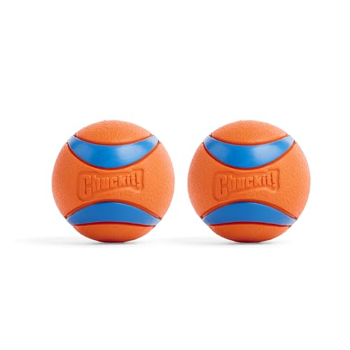 Chuckit Ultra Ball Dog Fetch Toy